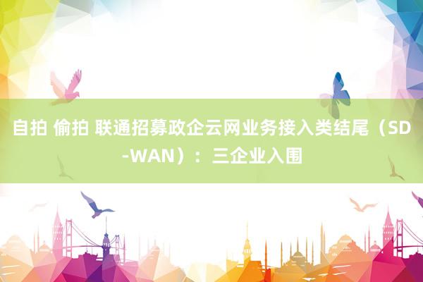 自拍 偷拍 联通招募政企云网业务接入类结尾（SD-WAN）：三企业入围