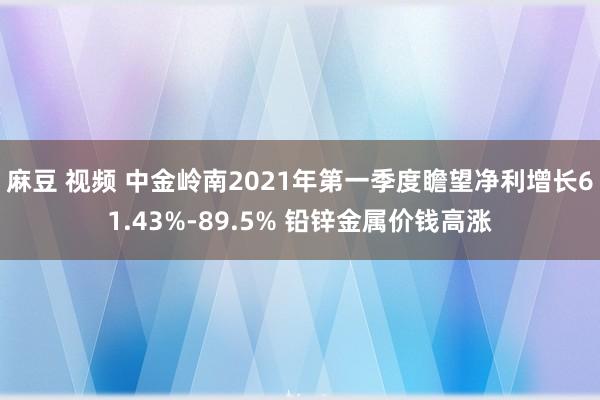 麻豆 视频 中金岭南2021年第一季度瞻望净利增长61.43%-89.5% 铅锌金属价钱高涨