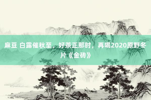 麻豆 白露催秋至，好茶正那时，再喝2020原野冬片《金砖》