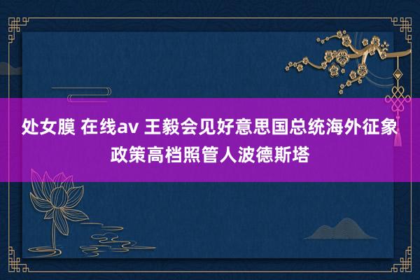 处女膜 在线av 王毅会见好意思国总统海外征象政策高档照管人波德斯塔