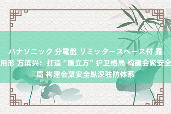 パナソニック 分電盤 リミッタースペース付 露出・半埋込両用形 方滨兴：打造“盾立方”护卫格局 构建会聚安全纵深驻防体系