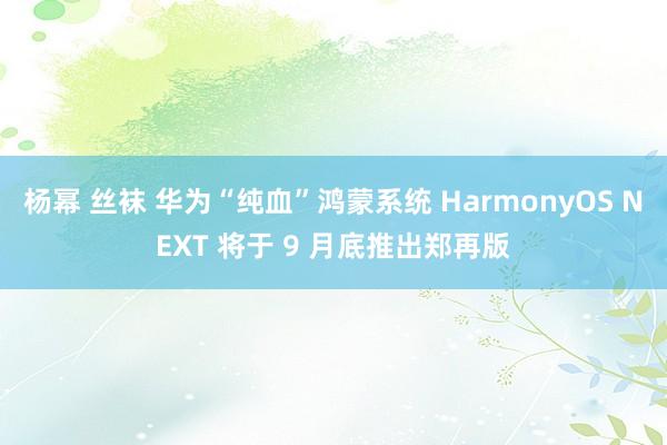 杨幂 丝袜 华为“纯血”鸿蒙系统 HarmonyOS NEXT 将于 9 月底推出郑再版