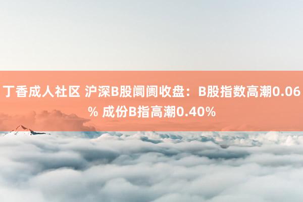 丁香成人社区 沪深B股阛阓收盘：B股指数高潮0.06% 成份B指高潮0.40%