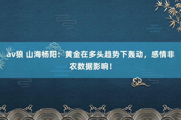 av狼 山海杨阳：黄金在多头趋势下轰动，感情非农数据影响！