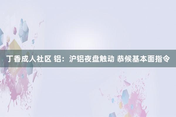 丁香成人社区 铝：沪铝夜盘触动 恭候基本面指令