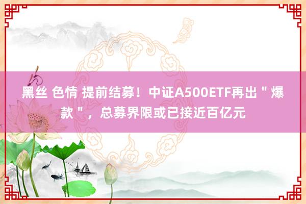 黑丝 色情 提前结募！中证A500ETF再出＂爆款＂，总募界限或已接近百亿元