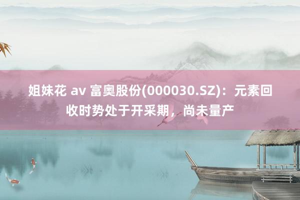 姐妹花 av 富奥股份(000030.SZ)：元素回收时势处于开采期，尚未量产