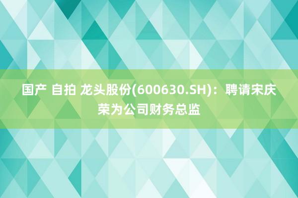 国产 自拍 龙头股份(600630.SH)：聘请宋庆荣为公司财务总监