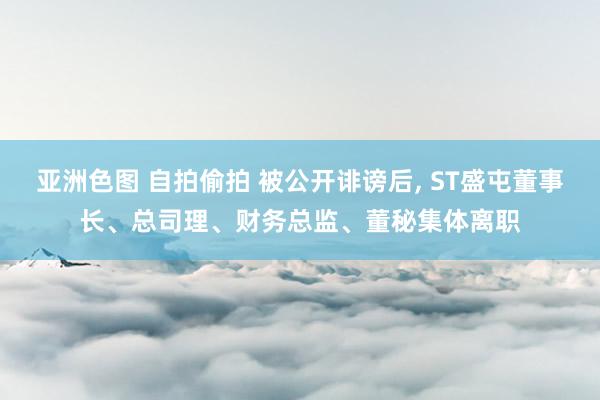 亚洲色图 自拍偷拍 被公开诽谤后， ST盛屯董事长、总司理、财务总监、董秘集体离职