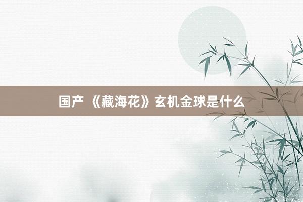 国产 《藏海花》玄机金球是什么