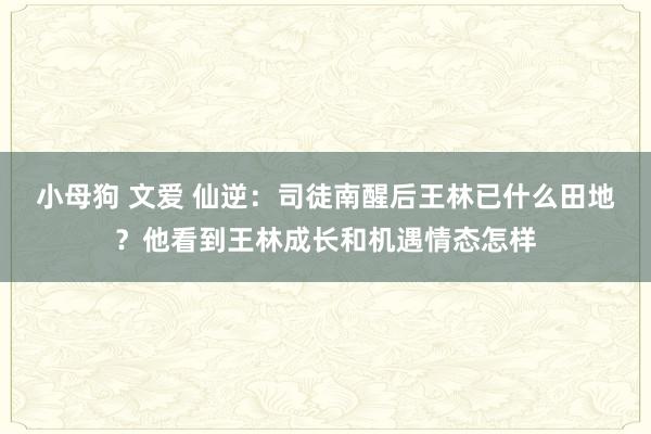 小母狗 文爱 仙逆：司徒南醒后王林已什么田地？他看到王林成长和机遇情态怎样