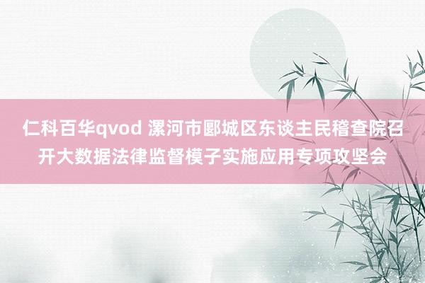 仁科百华qvod 漯河市郾城区东谈主民稽查院召开大数据法律监督模子实施应用专项攻坚会