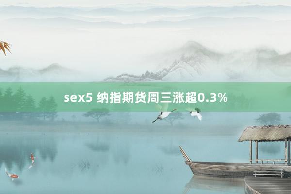 sex5 纳指期货周三涨超0.3%