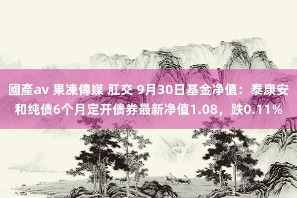 國產av 果凍傳媒 肛交 9月30日基金净值：泰康安和纯债6个月定开债券最新净值1.08，跌0.11%