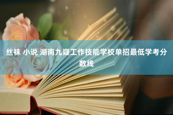 丝袜 小说 湖南九嶷工作技能学校单招最低学考分数线