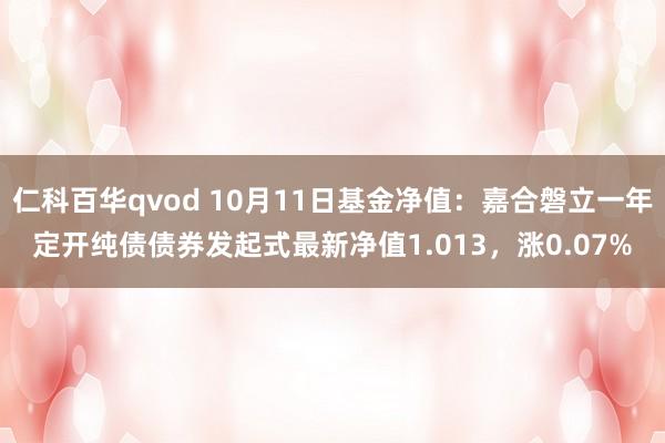 仁科百华qvod 10月11日基金净值：嘉合磐立一年定开纯债债券发起式最新净值1.013，涨0.07%