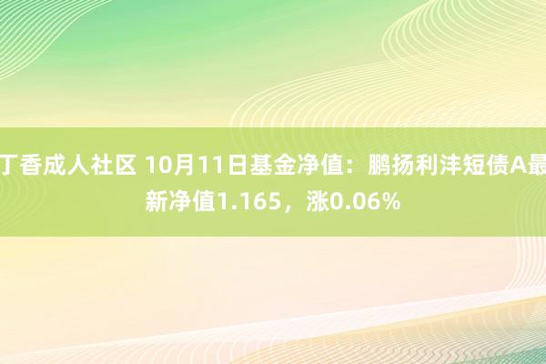 丁香成人社区 10月11日基金净值：鹏扬利沣短债A最新净值1.165，涨0.06%