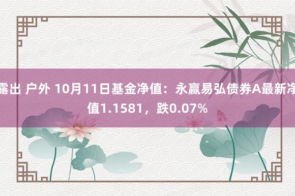 露出 户外 10月11日基金净值：永赢易弘债券A最新净值1.1581，跌0.07%