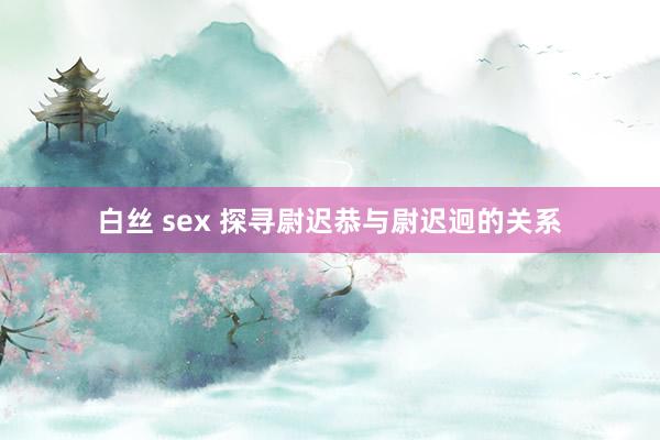 白丝 sex 探寻尉迟恭与尉迟迥的关系