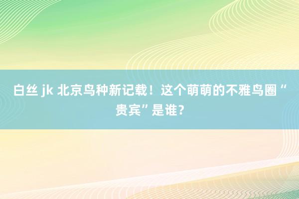 白丝 jk 北京鸟种新记载！这个萌萌的不雅鸟圈“贵宾”是谁？