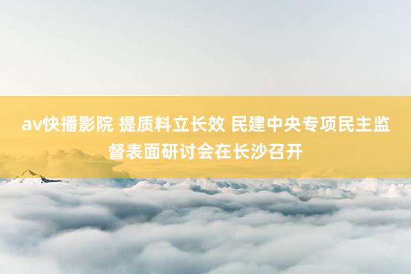 av快播影院 提质料立长效 民建中央专项民主监督表面研讨会在长沙召开