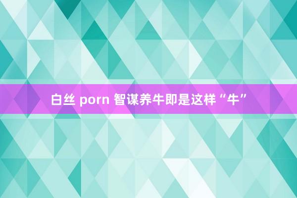 白丝 porn 智谋养牛即是这样“牛”