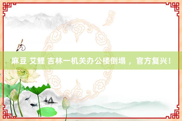 麻豆 艾鲤 吉林一机关办公楼倒塌 ，官方复兴！