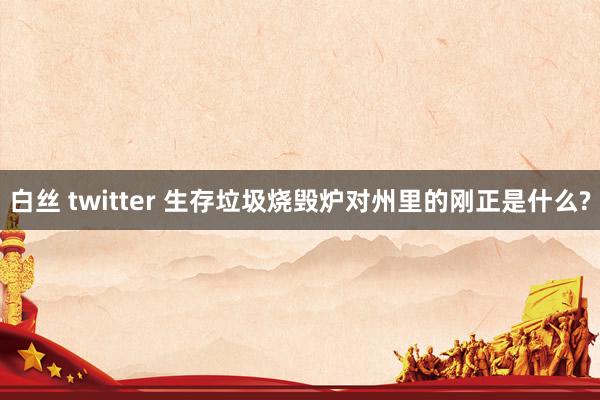 白丝 twitter 生存垃圾烧毁炉对州里的刚正是什么?