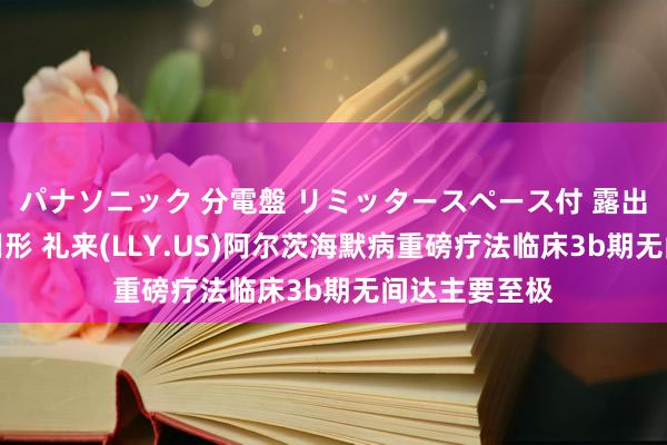 パナソニック 分電盤 リミッタースペース付 露出・半埋込両用形 礼来(LLY.US)阿尔茨海默病重磅疗法临床3b期无间达主要至极