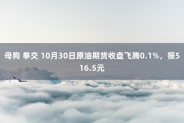 母狗 拳交 10月30日原油期货收盘飞腾0.1%，报516.5元