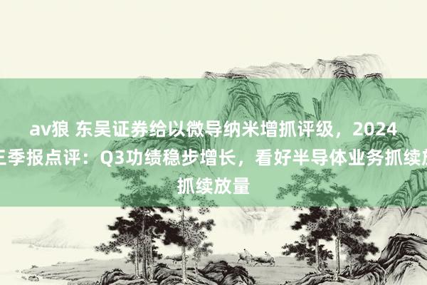 av狼 东吴证券给以微导纳米增抓评级，2024年三季报点评：Q3功绩稳步增长，看好半导体业务抓续放量