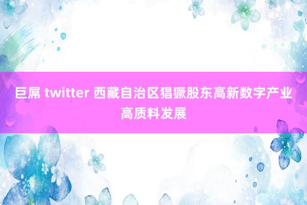 巨屌 twitter 西藏自治区猖獗股东高新数字产业高质料发展