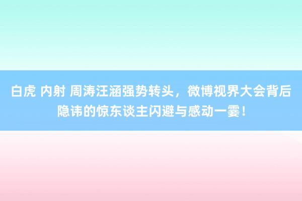 白虎 内射 周涛汪涵强势转头，微博视界大会背后隐讳的惊东谈主闪避与感动一霎！