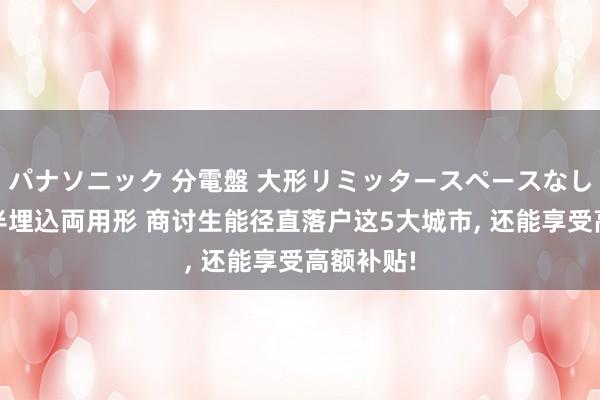 パナソニック 分電盤 大形リミッタースペースなし 露出・半埋込両用形 商讨生能径直落户这5大城市， 还能享受高额补贴!