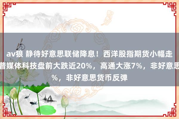 av狼 静待好意思联储降息！西洋股指期货小幅走高，特朗普媒体科技盘前大跌近20%，高通大涨7%，非好意思货币反弹