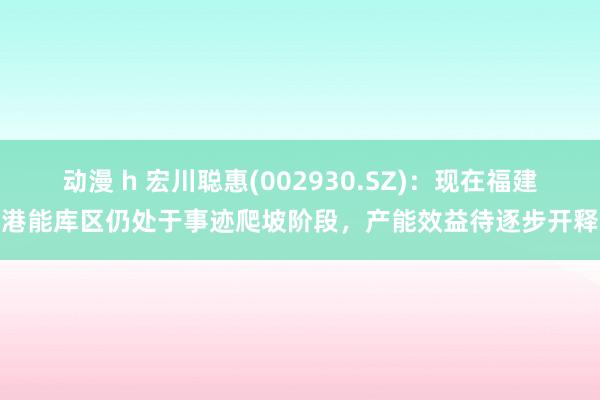 动漫 h 宏川聪惠(002930.SZ)：现在福建港能库区仍处于事迹爬坡阶段，产能效益待逐步开释