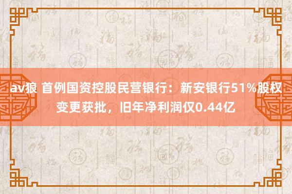 av狼 首例国资控股民营银行：新安银行51%股权变更获批，旧年净利润仅0.44亿