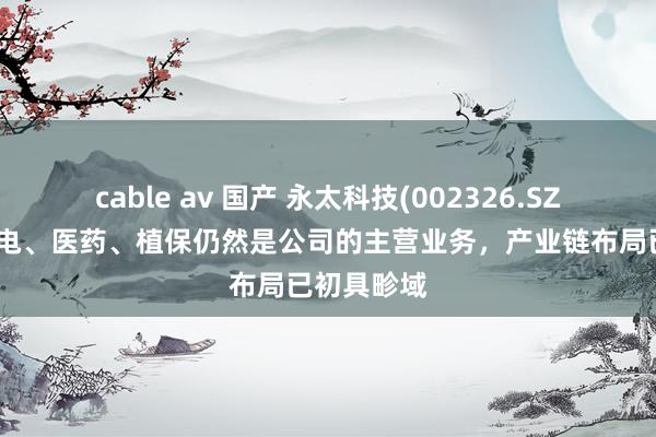 cable av 国产 永太科技(002326.SZ)：现在锂电、医药、植保仍然是公司的主营业务，产业链布局已初具畛域