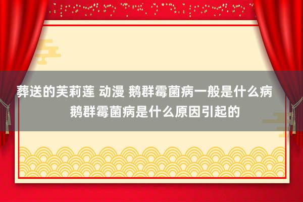 葬送的芙莉莲 动漫 鹅群霉菌病一般是什么病      鹅群霉菌病是什么原因引起的