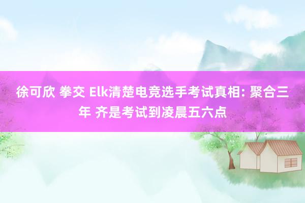 徐可欣 拳交 Elk清楚电竞选手考试真相: 聚合三年 齐是考试到凌晨五六点