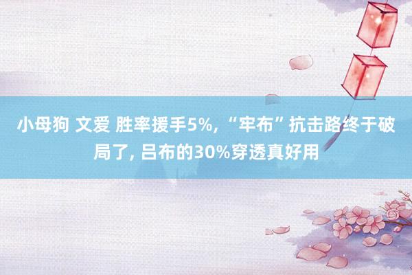 小母狗 文爱 胜率援手5%， “牢布”抗击路终于破局了， 吕布的30%穿透真好用