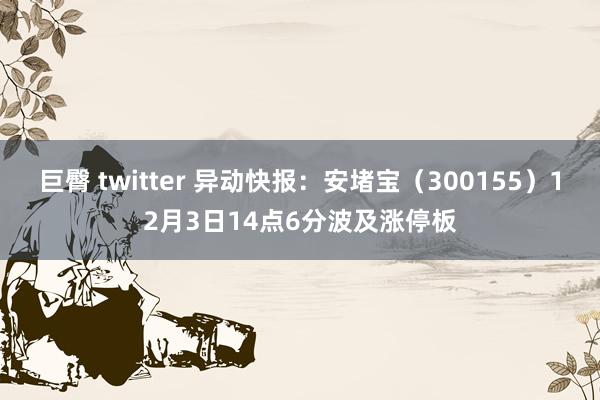 巨臀 twitter 异动快报：安堵宝（300155）12月3日14点6分波及涨停板