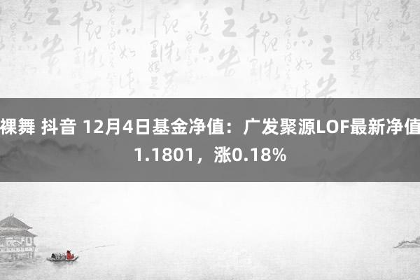 裸舞 抖音 12月4日基金净值：广发聚源LOF最新净值1.1801，涨0.18%