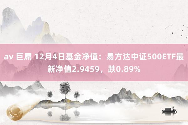 av 巨屌 12月4日基金净值：易方达中证500ETF最新净值2.9459，跌0.89%