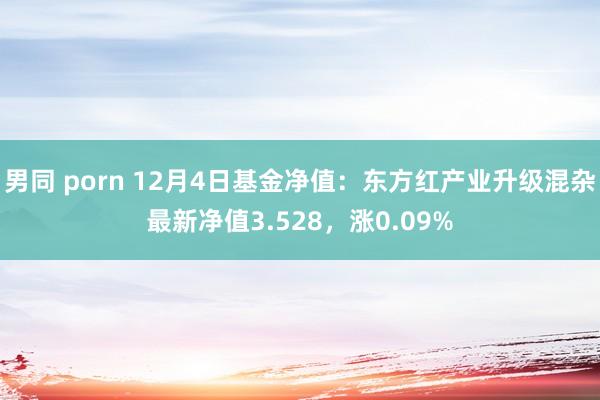 男同 porn 12月4日基金净值：东方红产业升级混杂最新净值3.528，涨0.09%