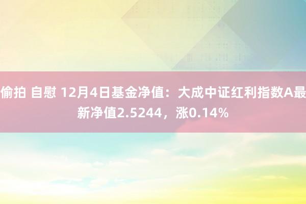 偷拍 自慰 12月4日基金净值：大成中证红利指数A最新净值2.5244，涨0.14%