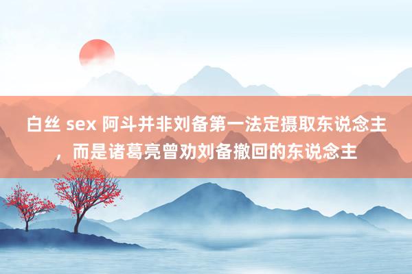 白丝 sex 阿斗并非刘备第一法定摄取东说念主，而是诸葛亮曾劝刘备撤回的东说念主