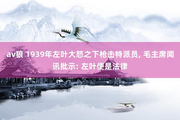 av狼 1939年左叶大怒之下枪击特派员， 毛主席闻讯批示: 左叶便是法律