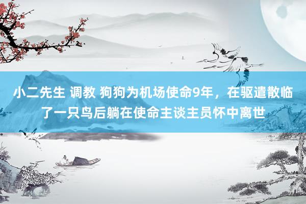 小二先生 调教 狗狗为机场使命9年，在驱遣散临了一只鸟后躺在使命主谈主员怀中离世