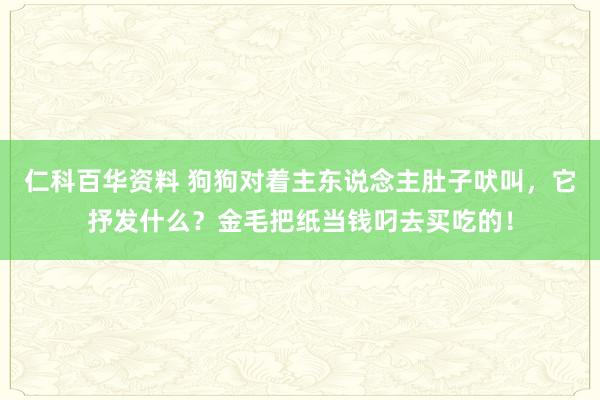 仁科百华资料 狗狗对着主东说念主肚子吠叫，它抒发什么？金毛把纸当钱叼去买吃的！